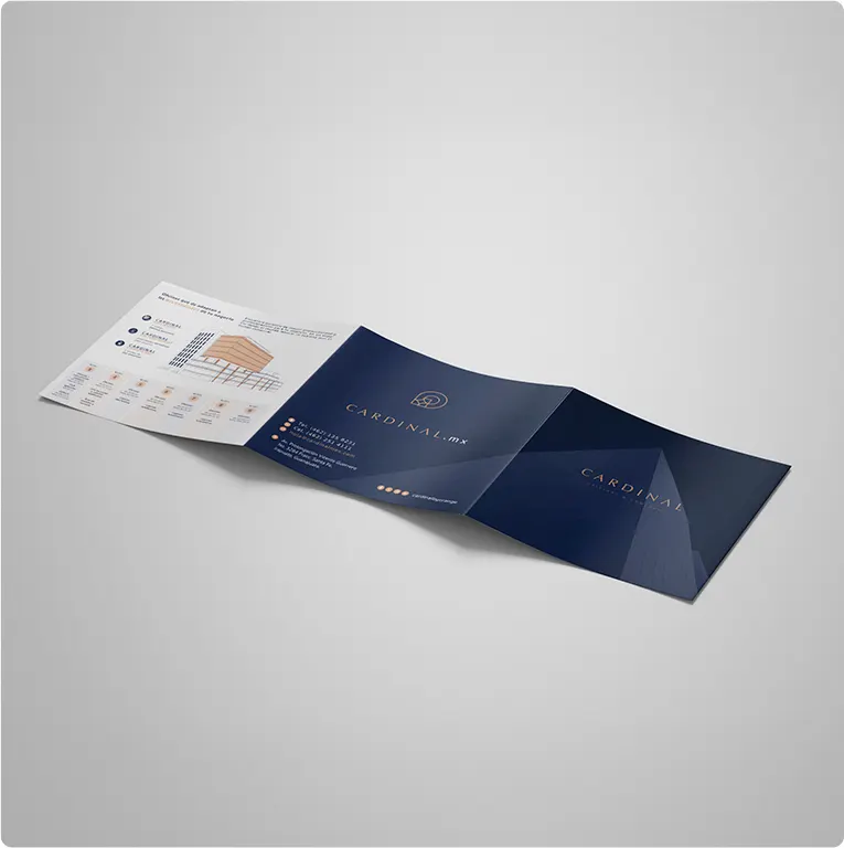 Cardinal México — Difraxion project