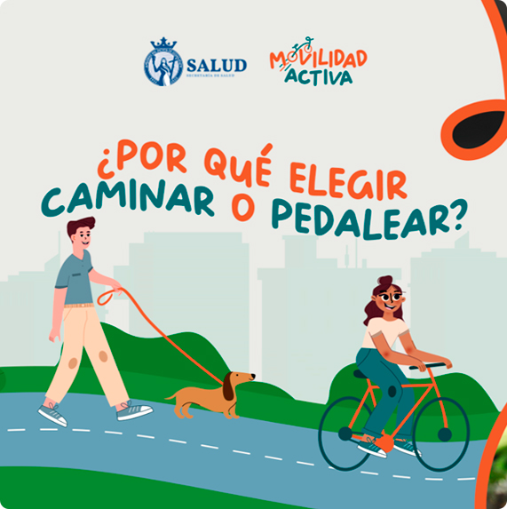 Secretaría de Salud de Guanajuato — proyecto Difraxion