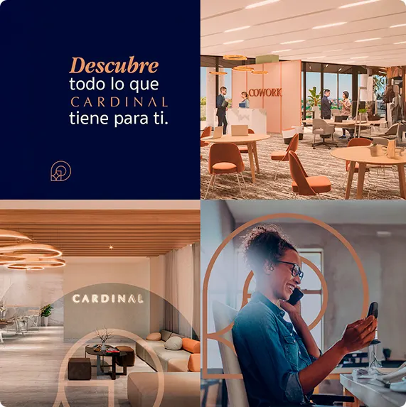 Cardinal México — Difraxion project