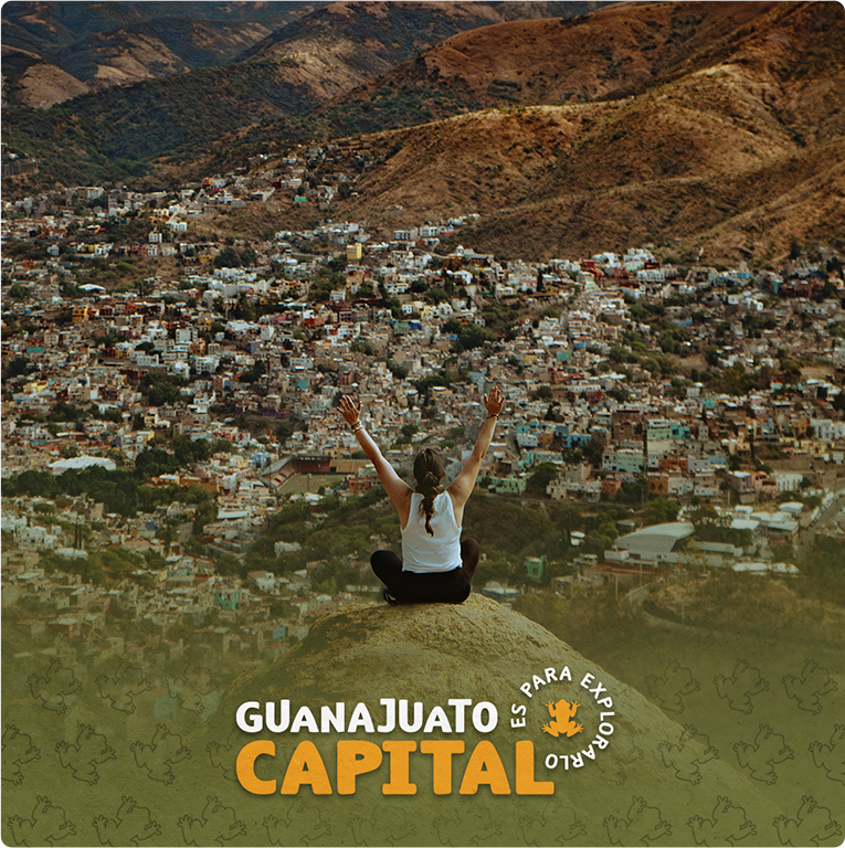 Gobierno de Guanajuato — proyecto Difraxion