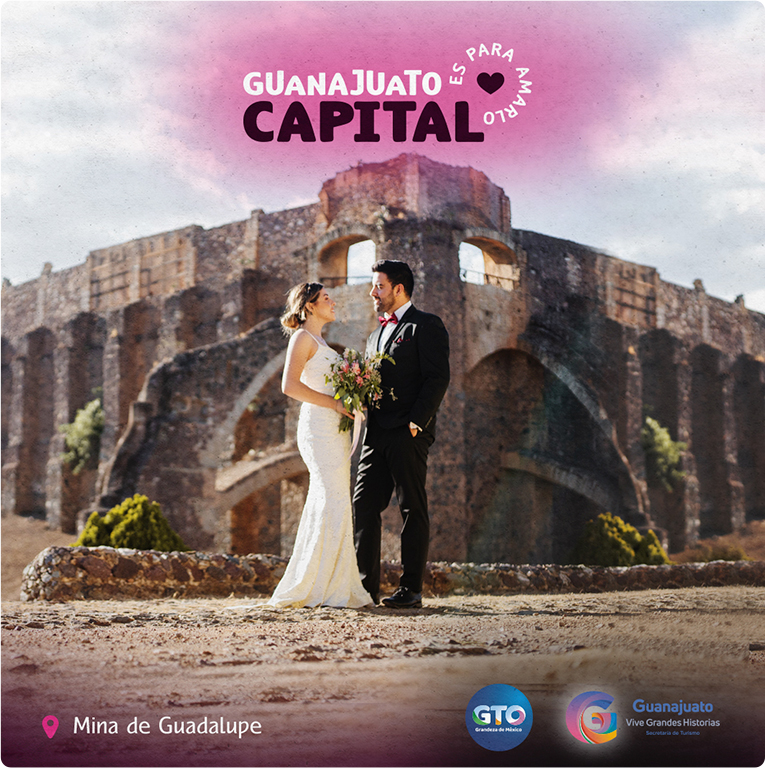 Gobierno de Guanajuato — proyecto Difraxion