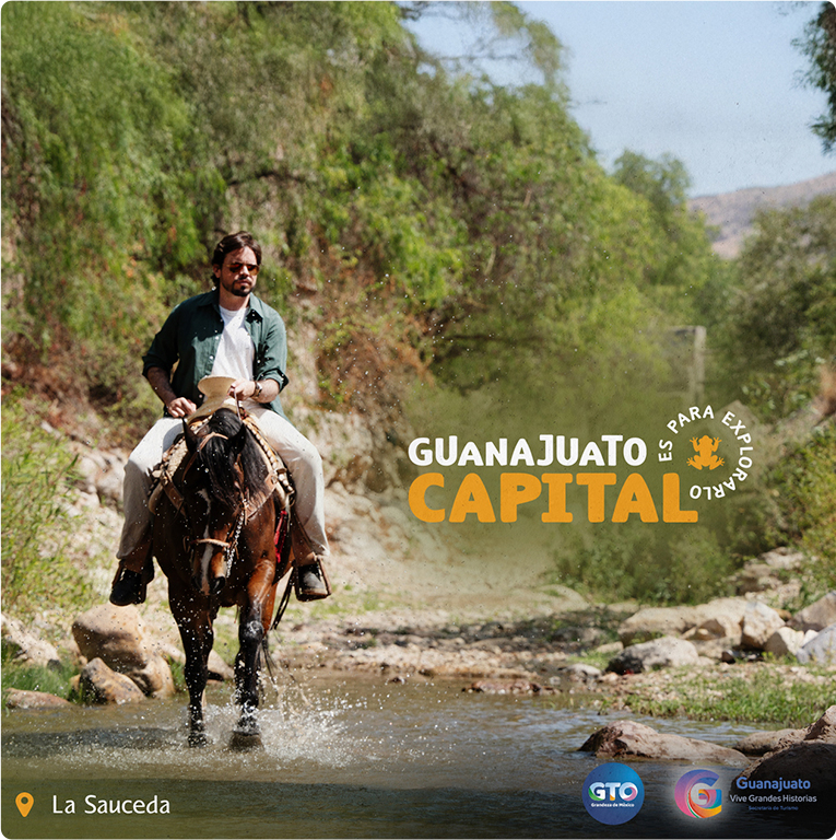 Gobierno de Guanajuato — proyecto Difraxion