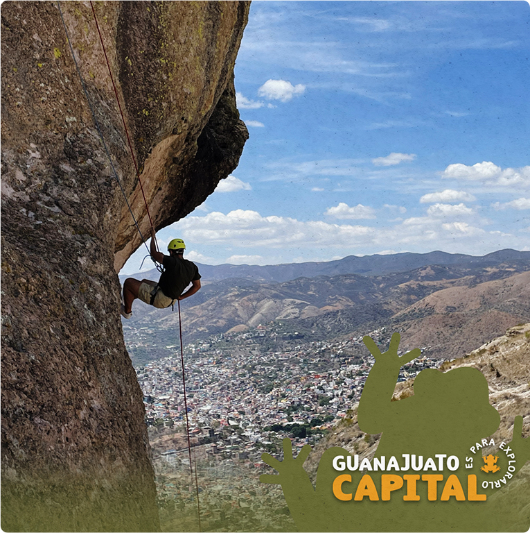Gobierno de Guanajuato — proyecto Difraxion