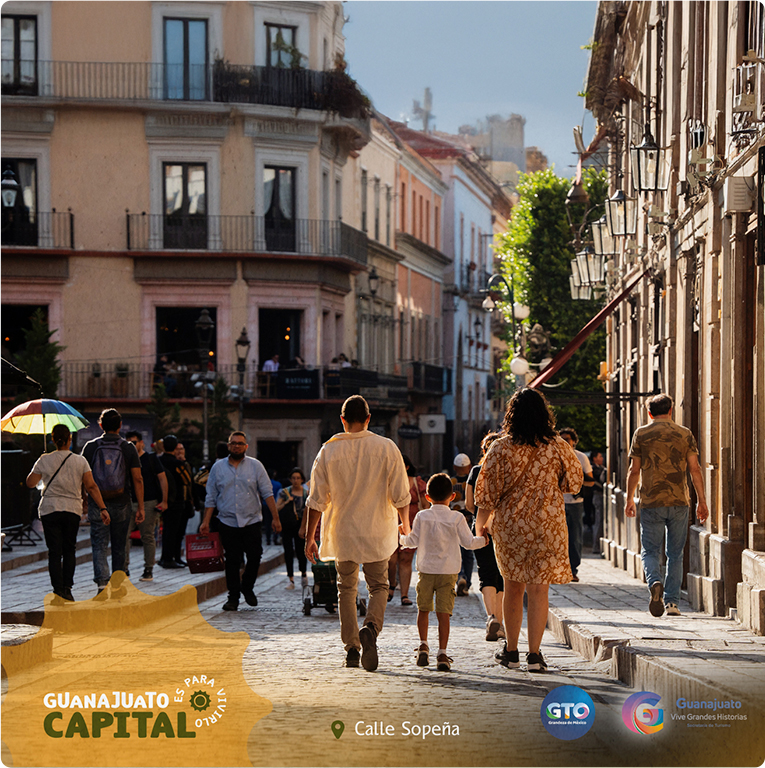 Gobierno de Guanajuato — proyecto Difraxion